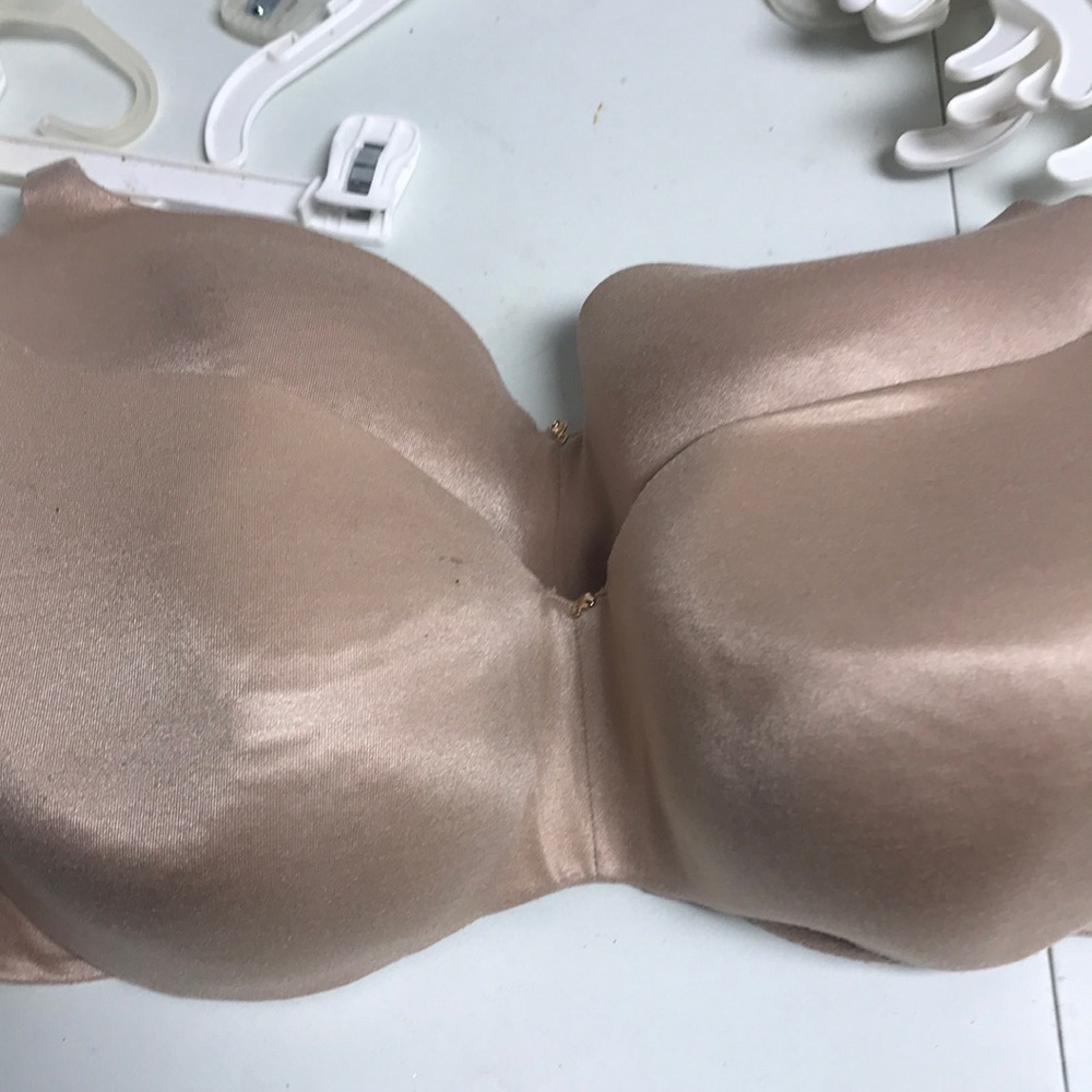 Lane Bryant bras 2